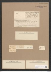 Diatoma rhombicum O'Meara (de-Toni-Nr.: Genus 58, Species 2543) Zeichnungen Sammlung Grunow Nr. 5096 (NHMW-BOT-W0373374)